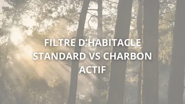 Filtre à Pollen/Habitacle : Standard ou Charbon Actif, Lequel Choisir ?
